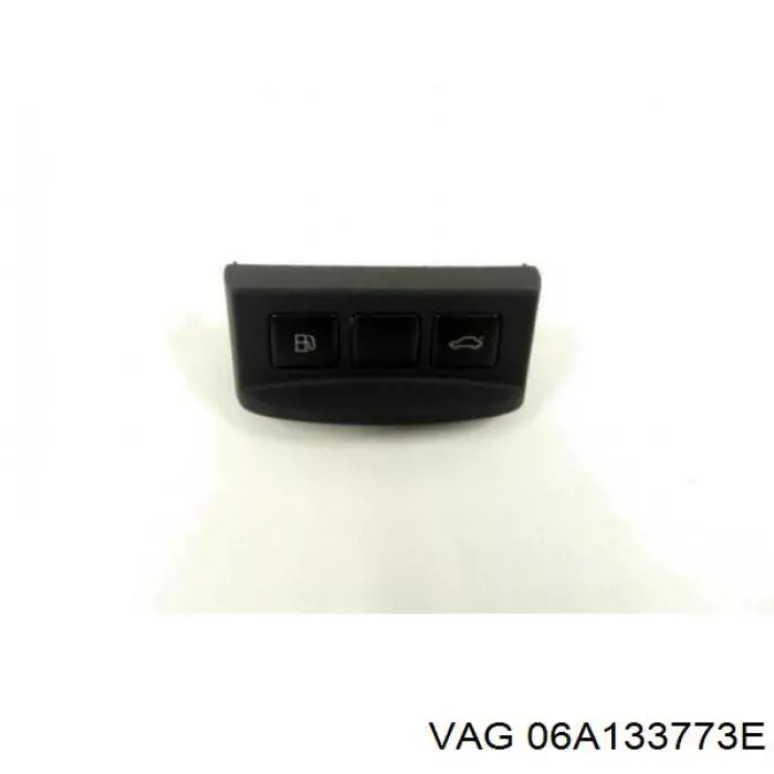 06A133773E VAG