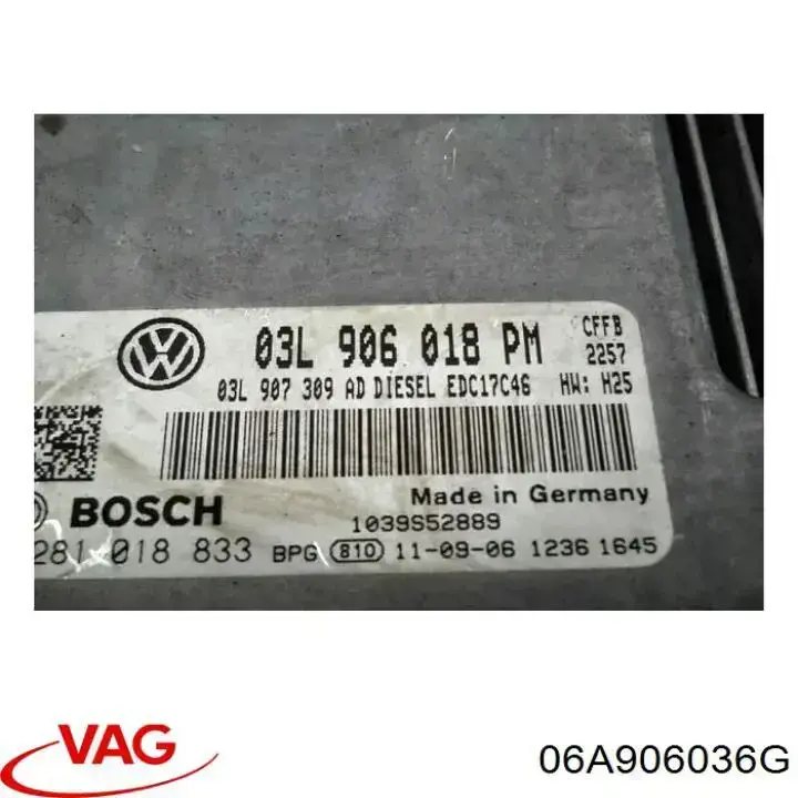 Inyector 06A906036G VAG