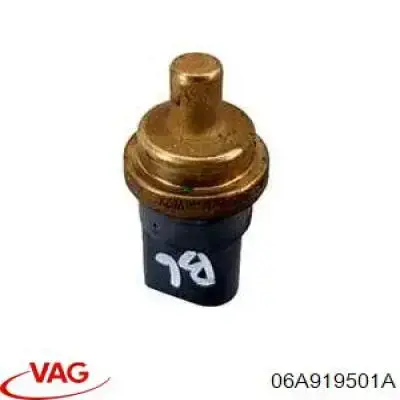 06A919501A VAG
