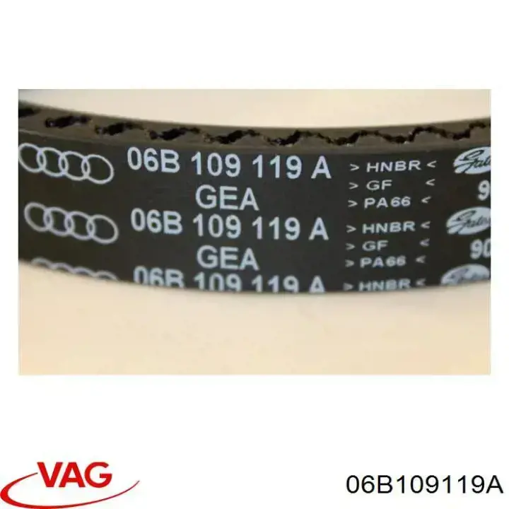 Correa de distribución VAG 06B109119A