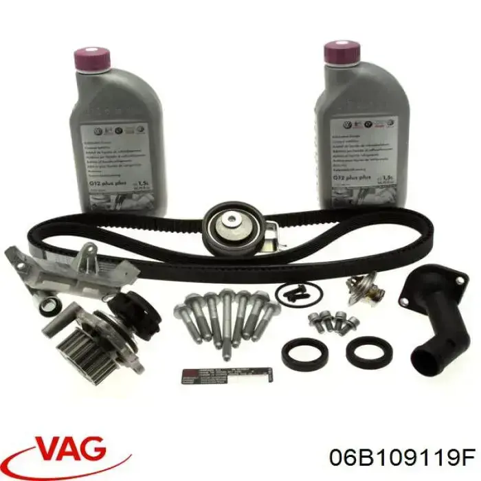Correa de distribución VAG 06B109119F