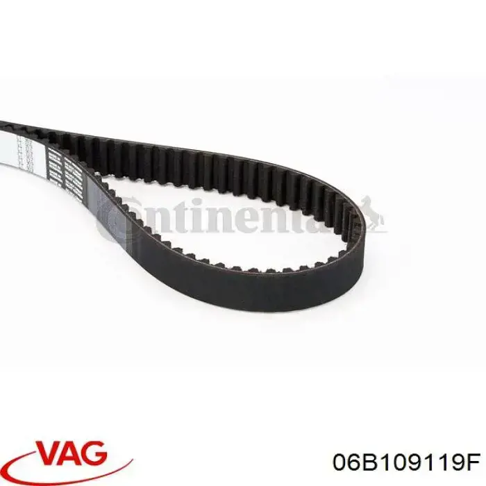 Comprar 06B109119F VAG Correa distribución