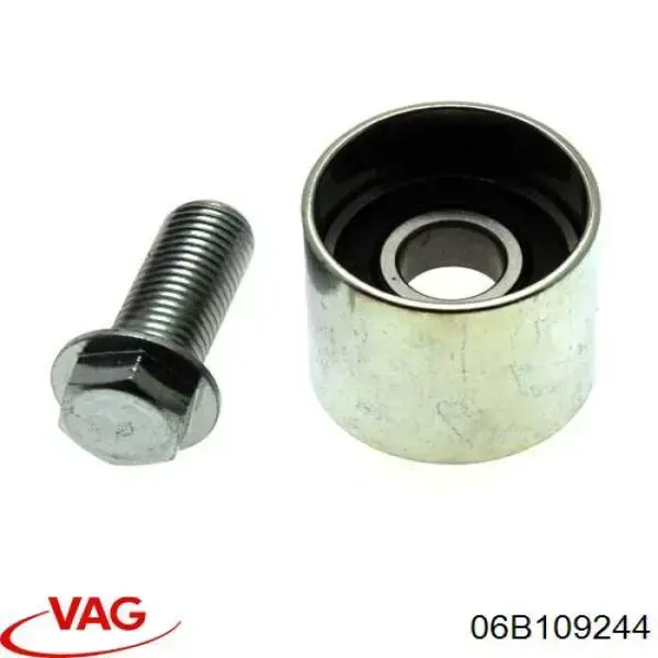 Polea correa distribución VAG 06B109244 precio, desde 8,08 EUR