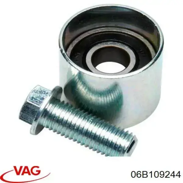 Polea correa distribución 06B109244 VAG