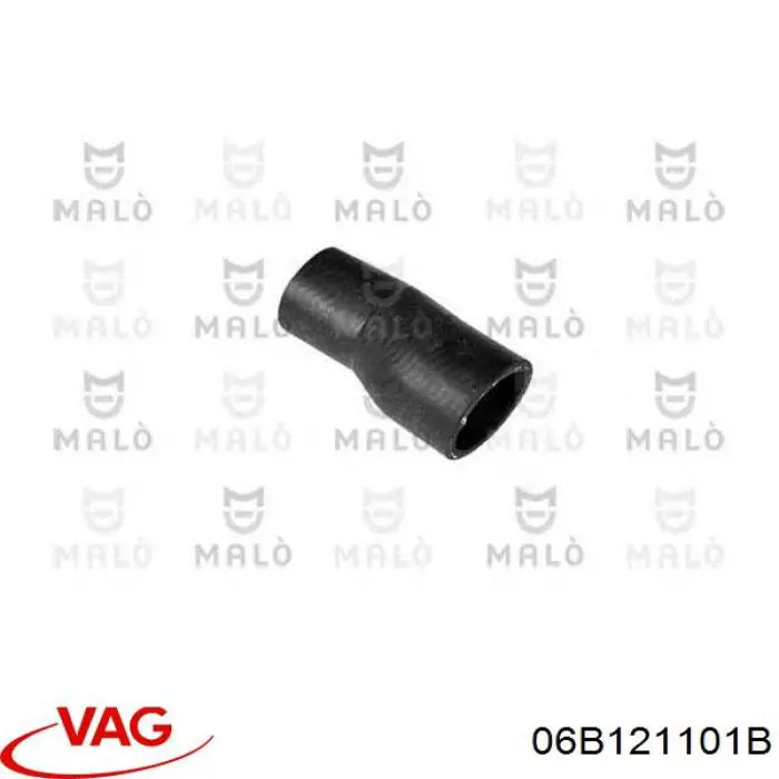 06B121101B VAG 