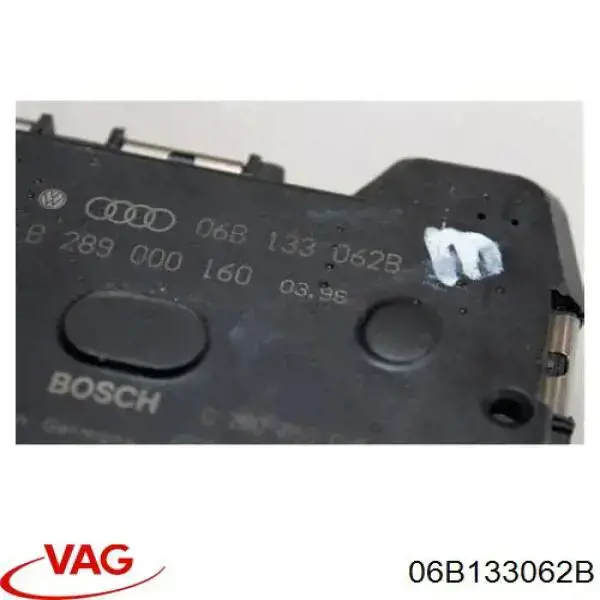 058133063P VAG Mariposa de admisión
