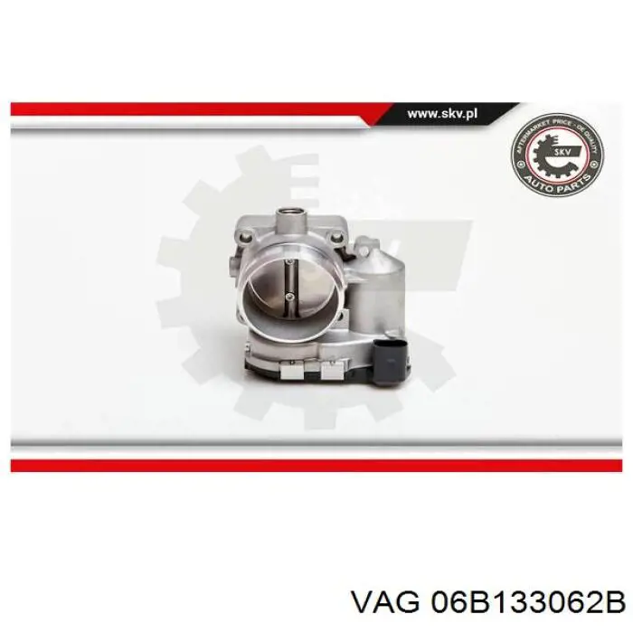 Comprar 06B133062B VAG Cuerpo de mariposa