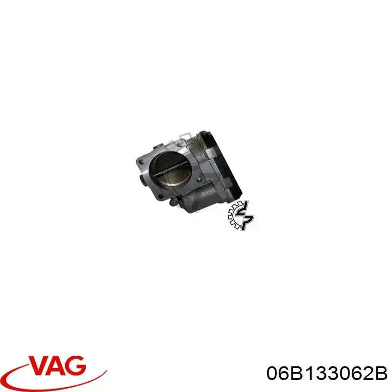 06B133062B VAG Mariposa de admisión