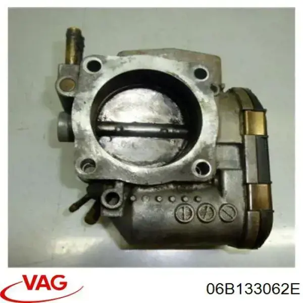 06B133062E VAG Mariposa de admisión