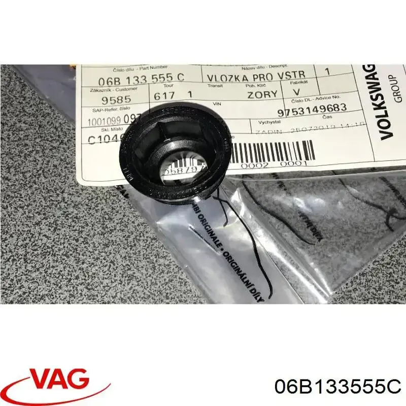 06B133555C VAG