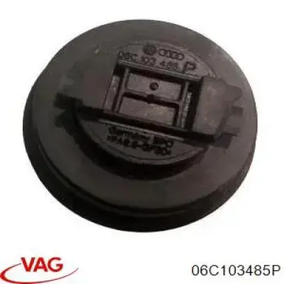 Tapon de aceite  VAG 06C103485P precio, desde 5,32 EUR