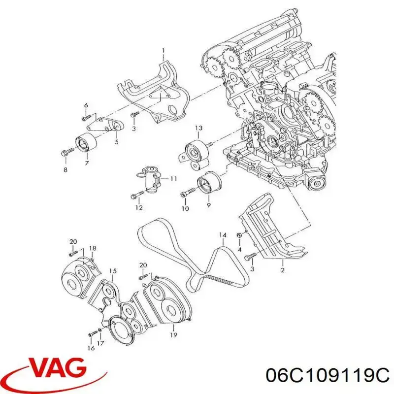Correa distribución 06C109119C VAG