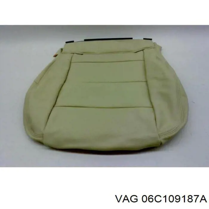 06C109187A VAG