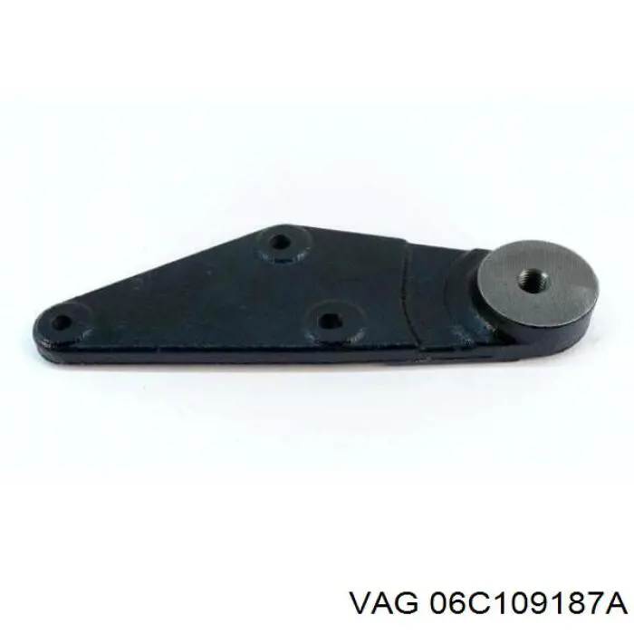 06C109187A VAG 