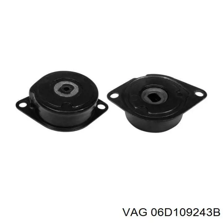 Tensor de la correa de distribución VAG 06D109243B precio, desde 31,72 EUR