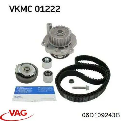 Tensor de la correa de distribución VAG 06D109243B precio, desde 31,72 EUR