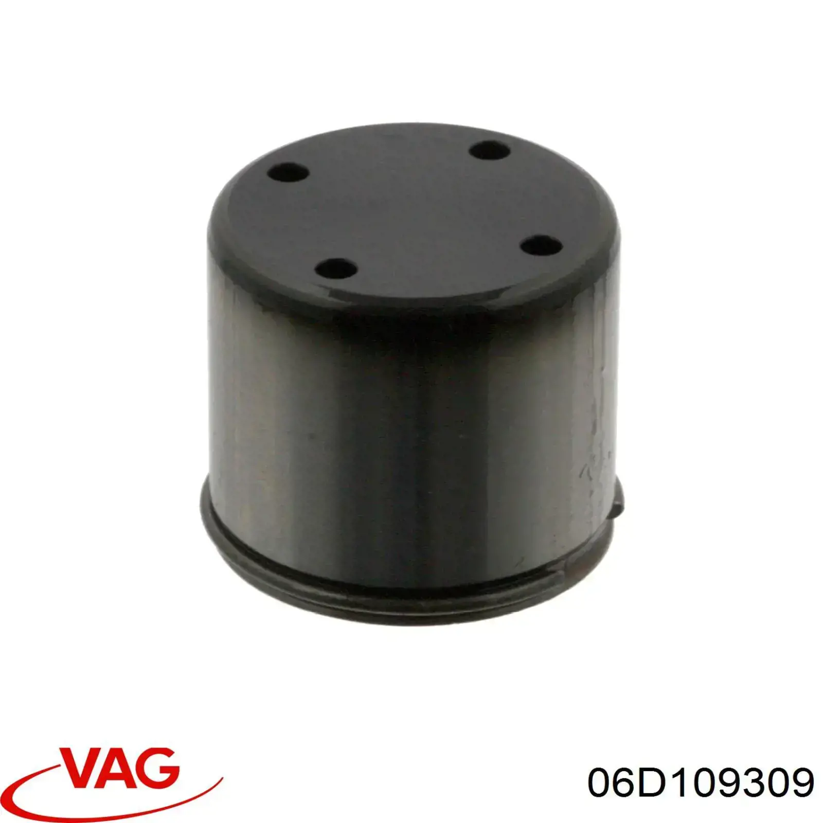 Empujador de la bomba de combustible VAG 06D109309 precio, desde 25,38 EUR