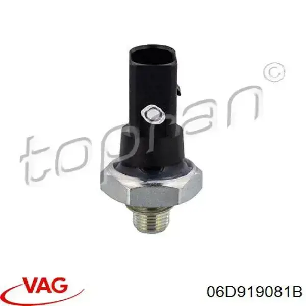 Manómetro de presión de aceite VAG 06D919081B precio, desde 6,00 EUR