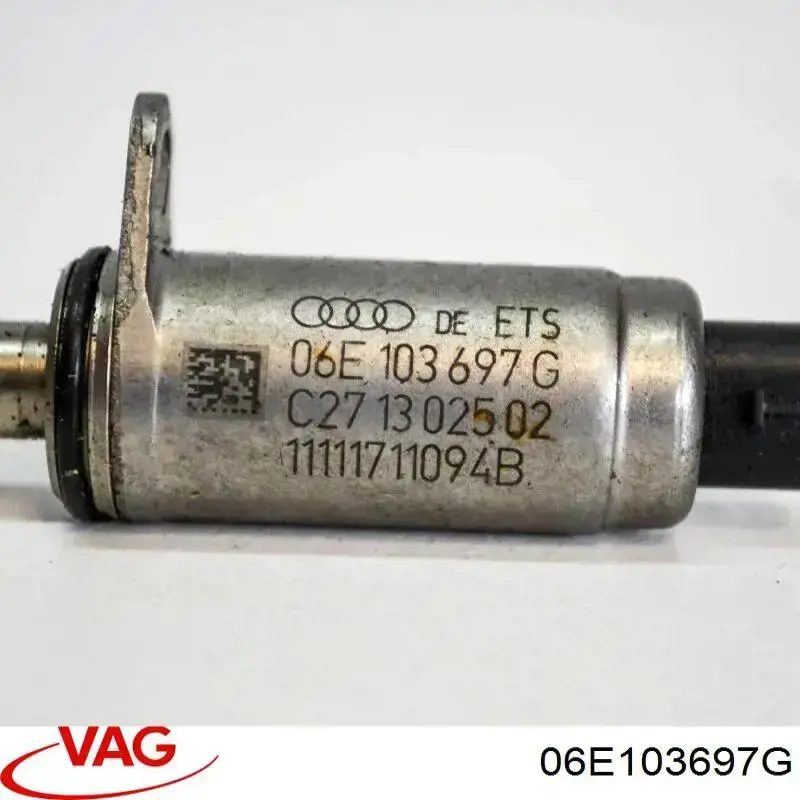 06E103697G VAG