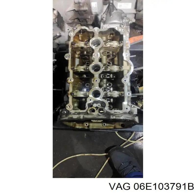 06E103791BX VAG