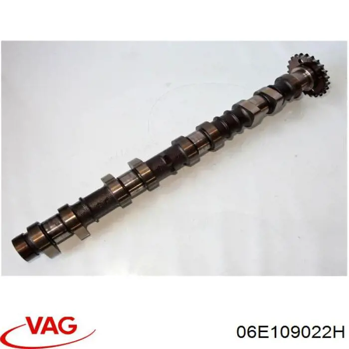 Comprar 06E109022H VAG 