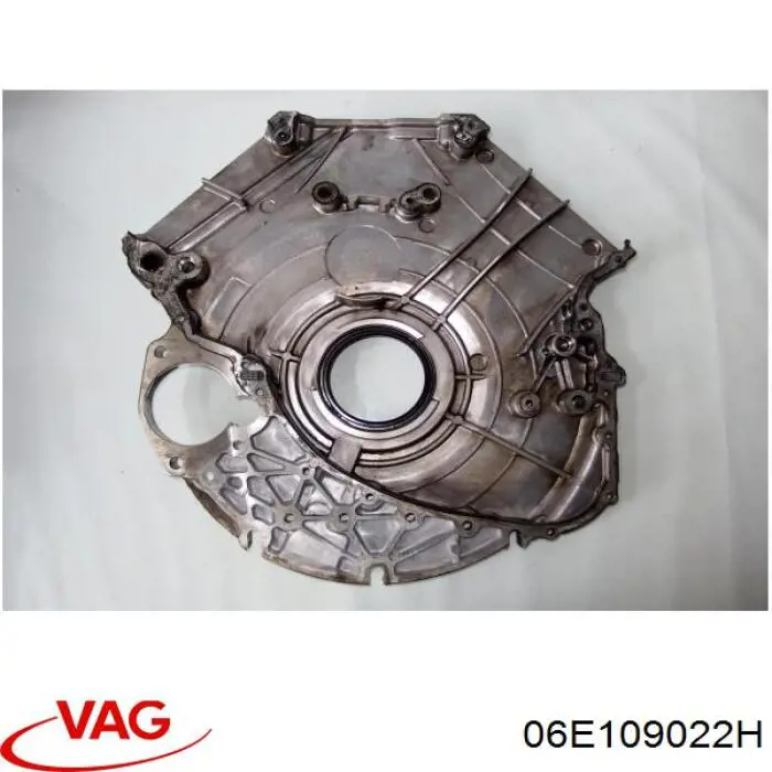 06E109022H VAG 