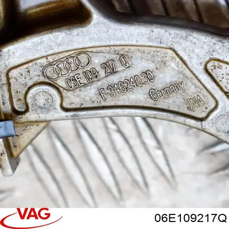 Tensor izquierdo de cadena de distribución VAG 06E109217AJ