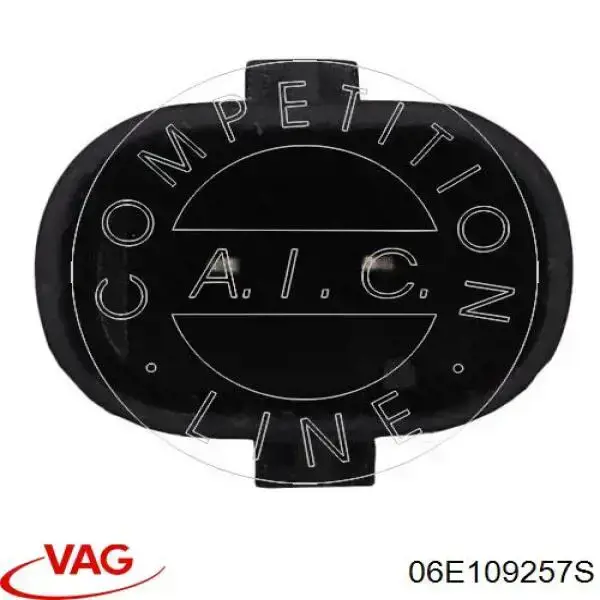 Válvula control, ajuste de levas Audi Q7 4MB, 4MG, 4MQ