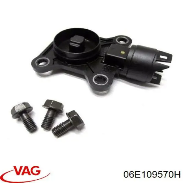 06E109570H VAG Engranaje árbol de levas
