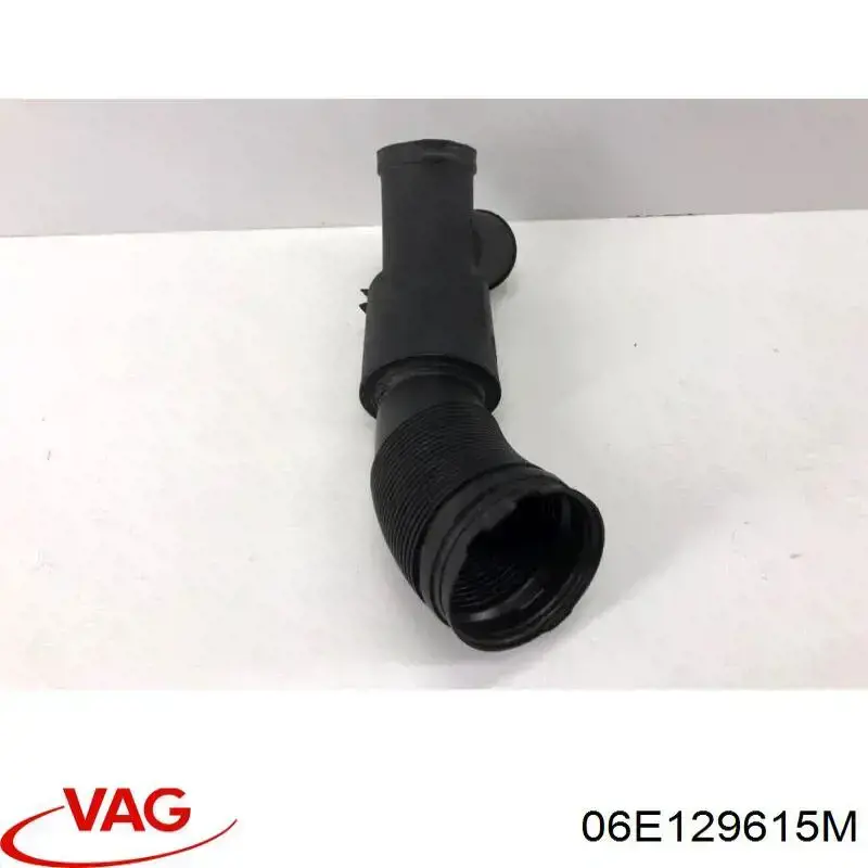 06E129615M VAG