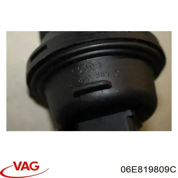 Válvula de control de líquido refrigerante VAG 06E819809C precio, desde 83,58 EUR