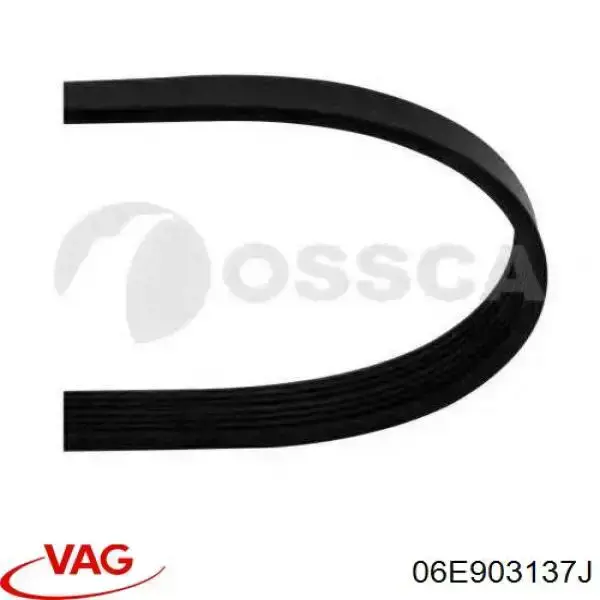 Correa accesorios VAG 06E903137J