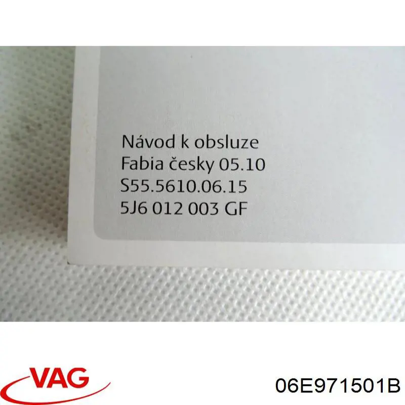 06E971501B VAG 