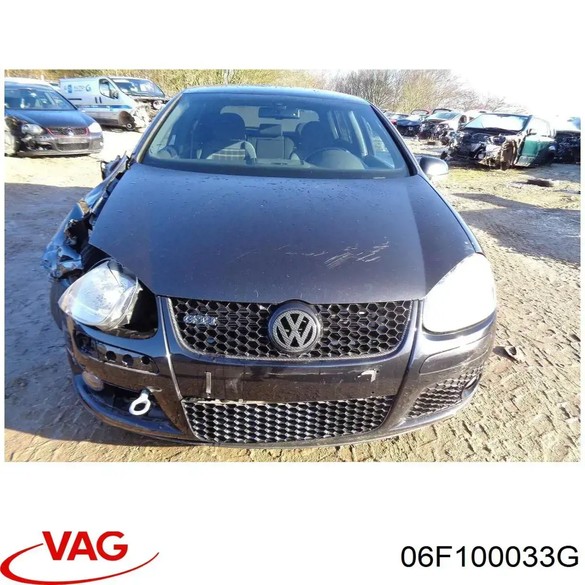 06F100033G VAG Motor completo