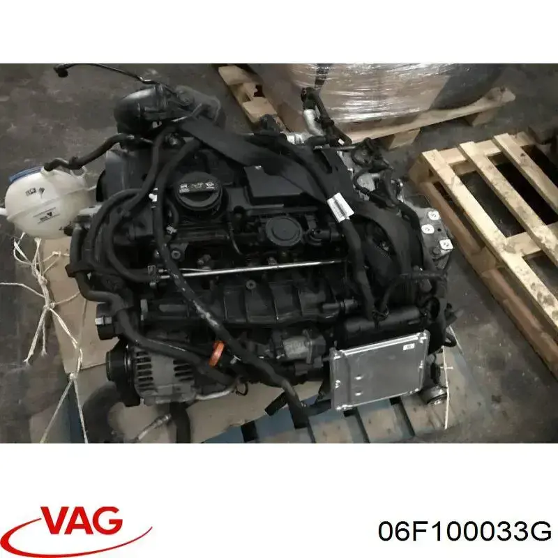 06F100033G VAG motor completo