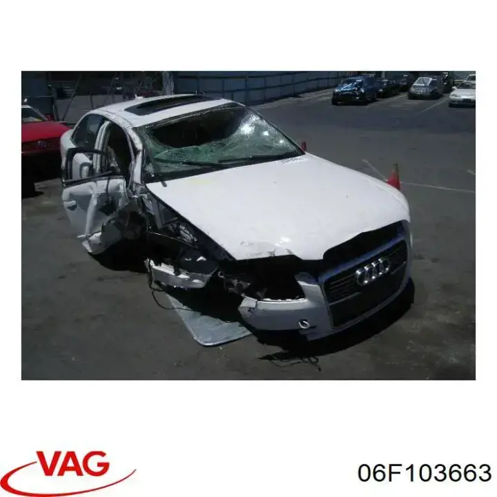Comprar 06F103663 VAG Guía de la varilla de nivel de aceite del motor
