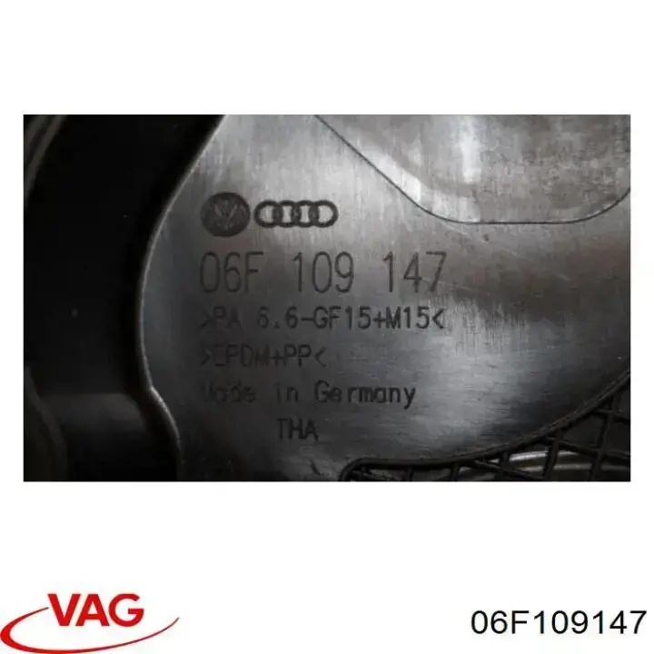 06F109147 VAG