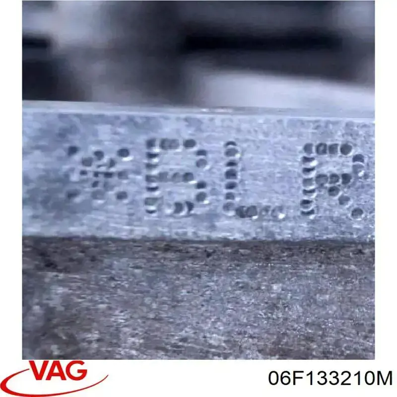 06F133210M VAG