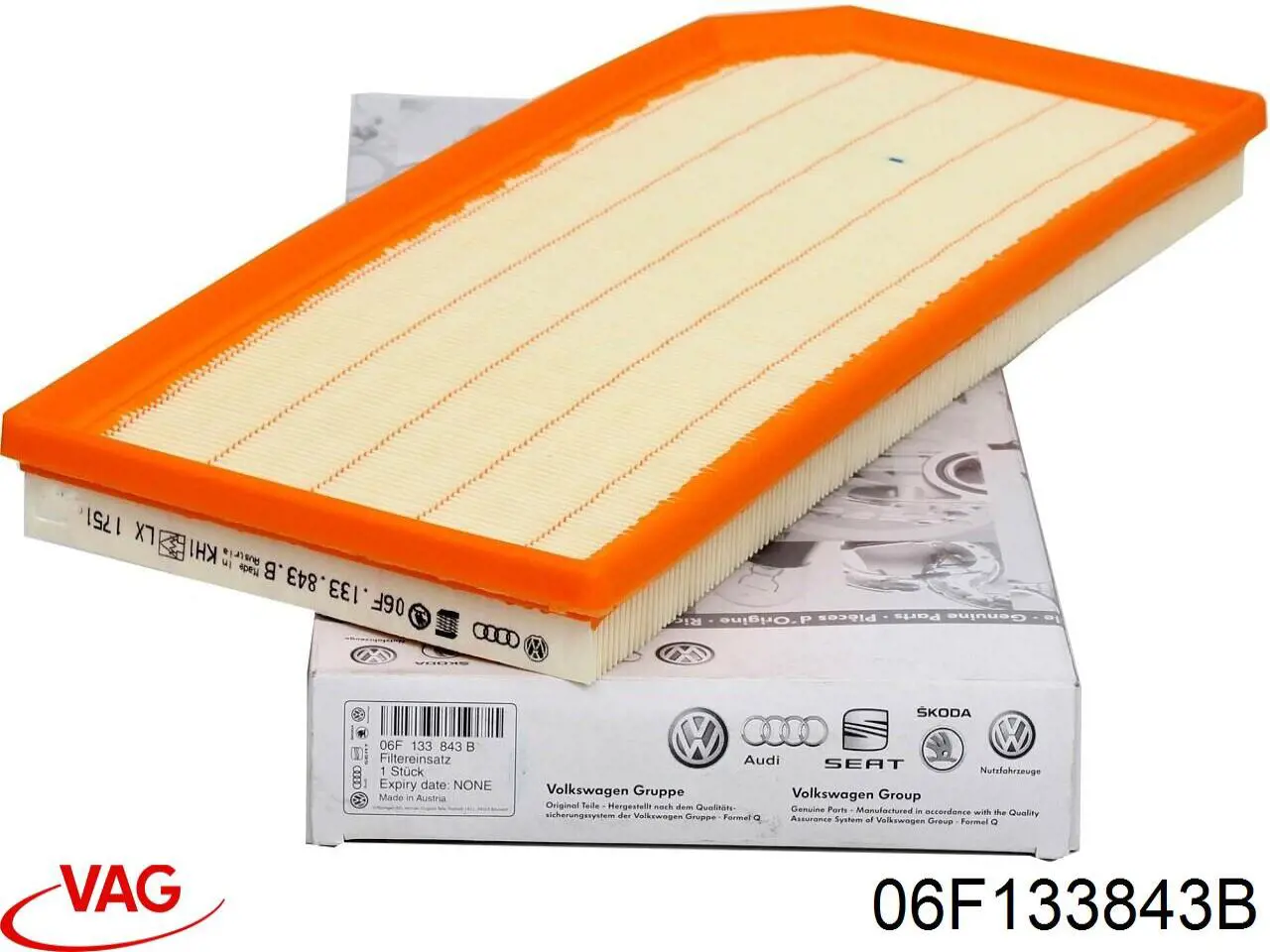 06F133843B VAG Filtro de aire de motor