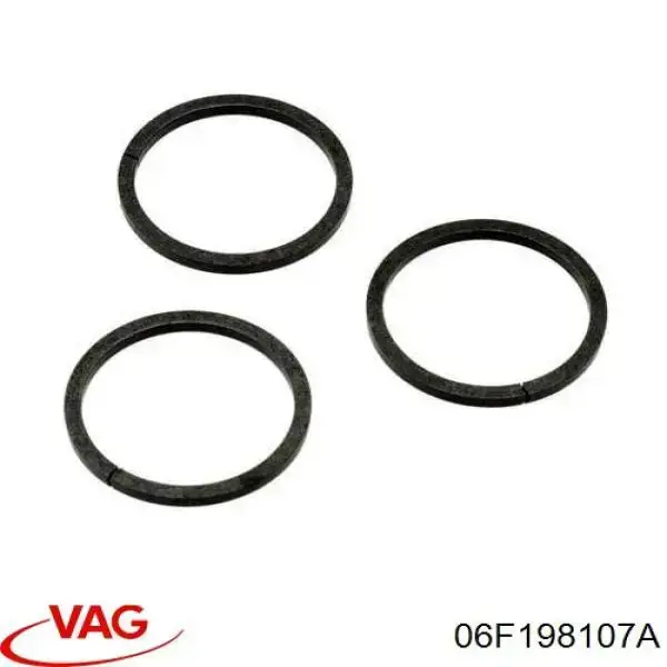 06F198107A VAG