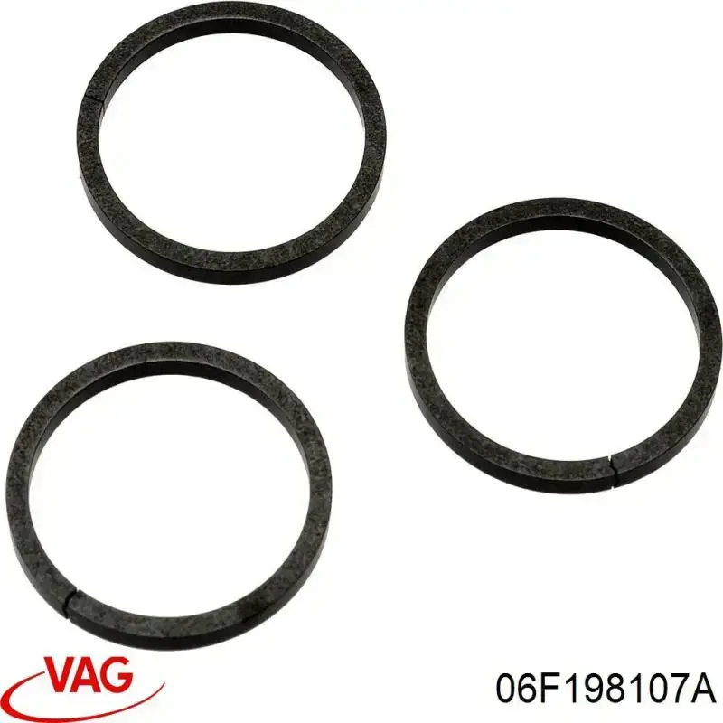 06F198107A VAG
