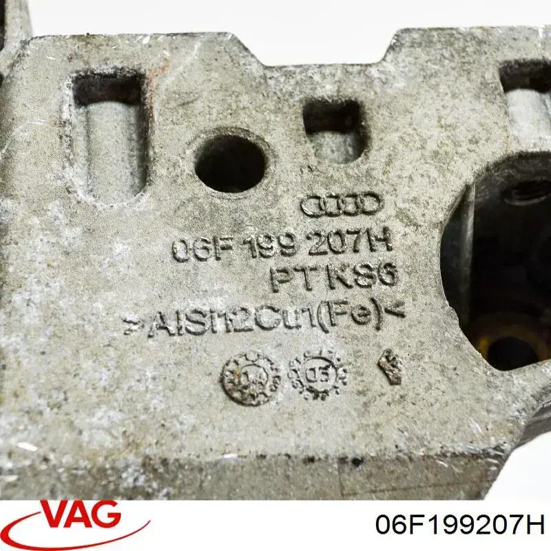  VAG 06F199207H