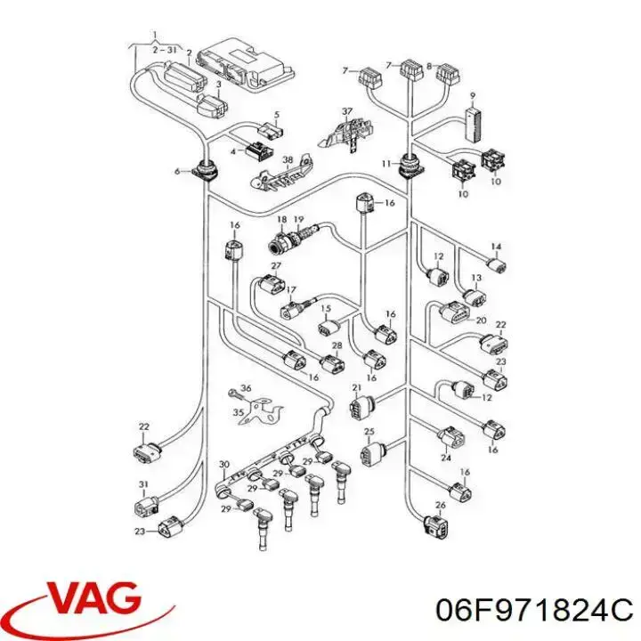  VAG 06F971824C precio, desde 20,63 EUR