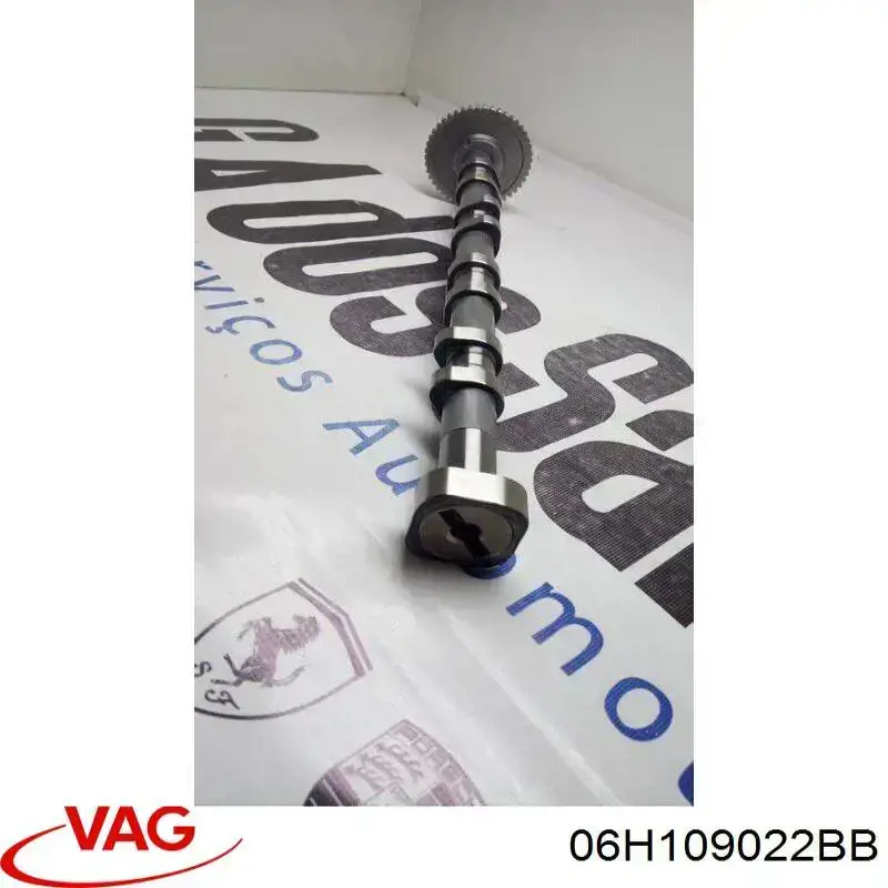 Árbol de levas de escape VAG 06H109022M precio, desde 213,69 EUR