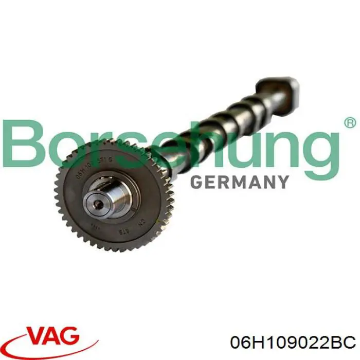 Comprar 06H109022BC VAG Árbol de levas de escape