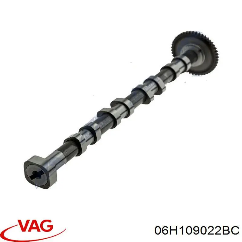 Árbol de levas de escape VAG 06H109022BC precio, desde 194,34 EUR