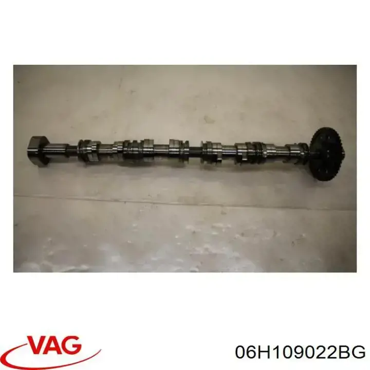 Comprar 06H109022BG VAG Árbol de levas de escape