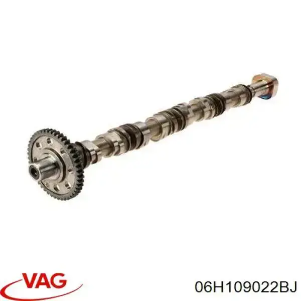 Árbol de levas de escape VAG 06H109022BJ precio, desde 515,05 EUR