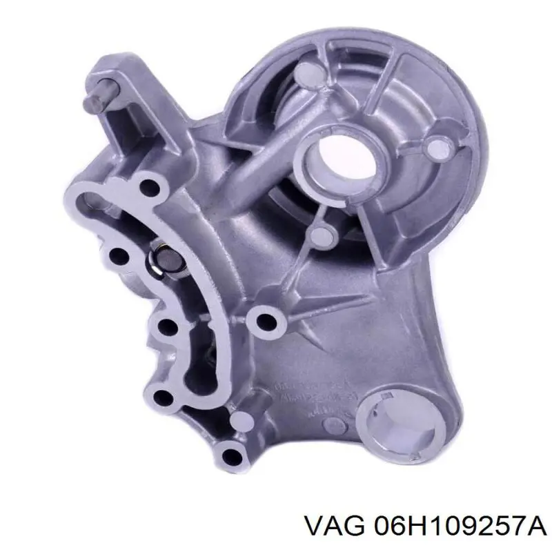 06H109257A VAG Perno hidráulico de distribución