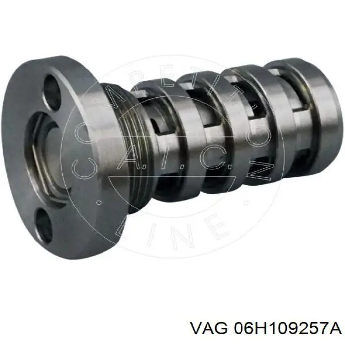 Perno hidráulico de distribución VAG 06H109257A precio, desde 26,68 EUR